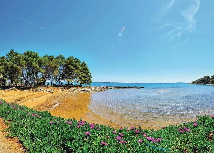 Hébergement de vacances Amazing In With House Sea View Vir
